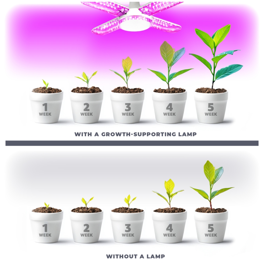 LED Žarulja za rast biljaka PLANTY E27/40W/230V 1200K