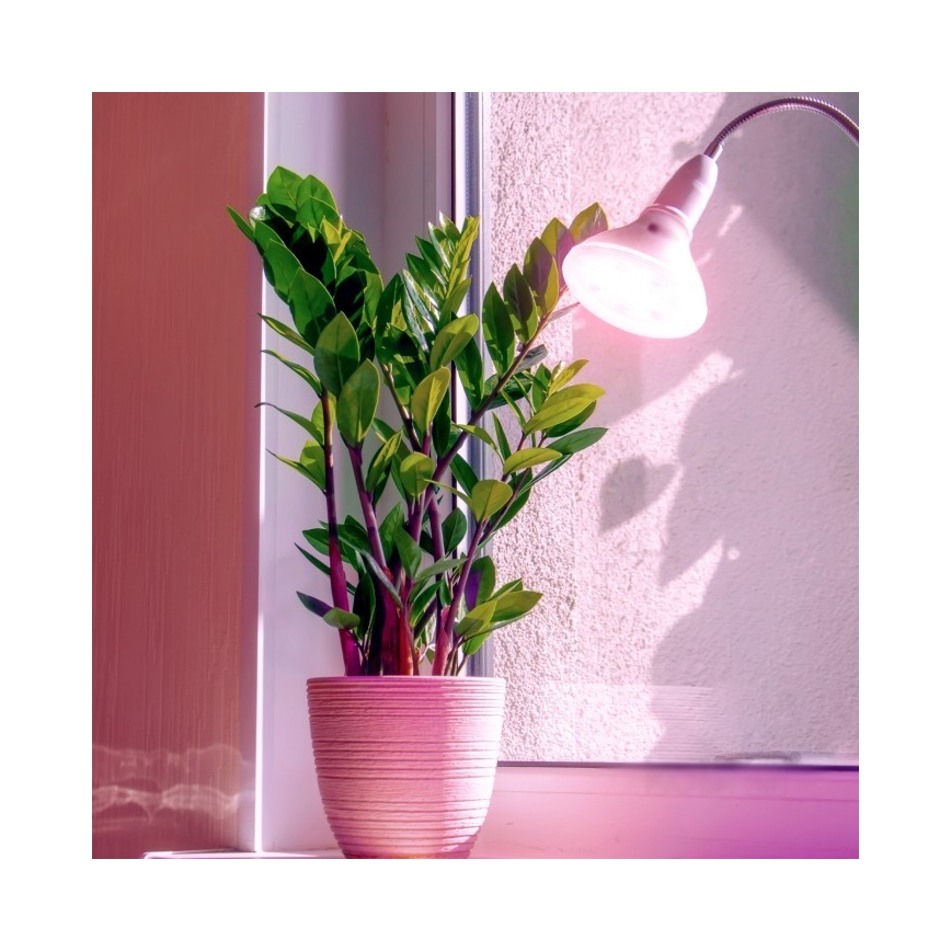 LED Žarulja za rast biljaka PLANTY E27/7W/230V 1200K bijela