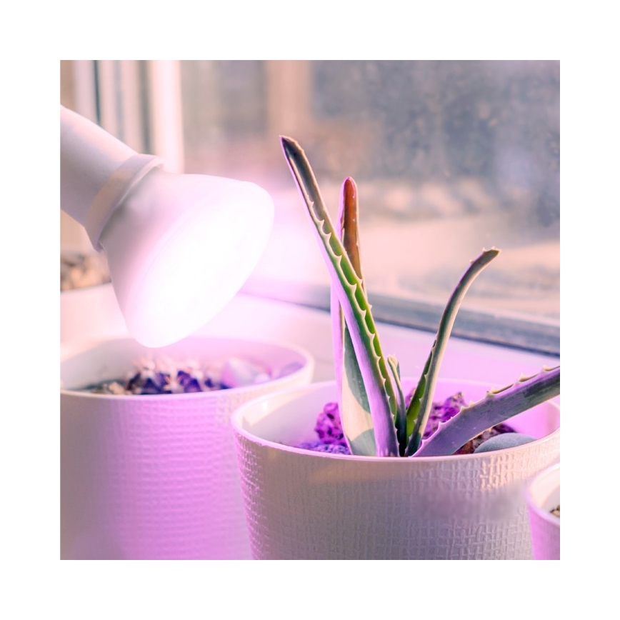 LED Žarulja za rast biljaka PLANTY E27/7W/230V 1200K bijela