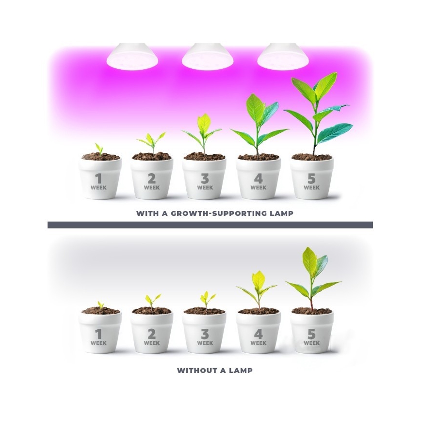 LED Žarulja za rast biljaka PLANTY E27/7W/230V 1200K bijela