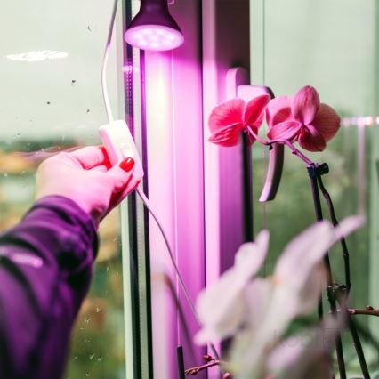 LED Žarulja za rast biljaka PLANTY E27/7W/230V 1200K crna