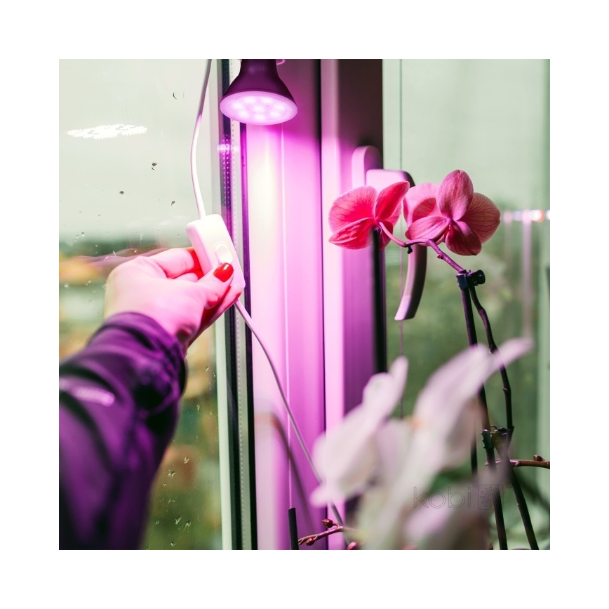 LED Žarulja za rast biljaka PLANTY E27/7W/230V 1200K crna