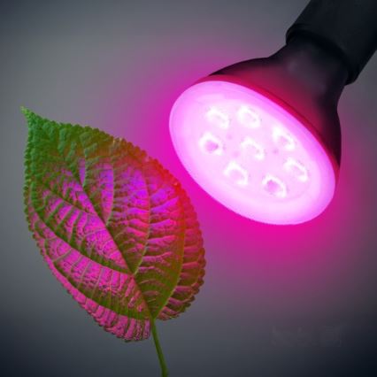 LED Žarulja za rast biljaka PLANTY E27/7W/230V 1200K crna