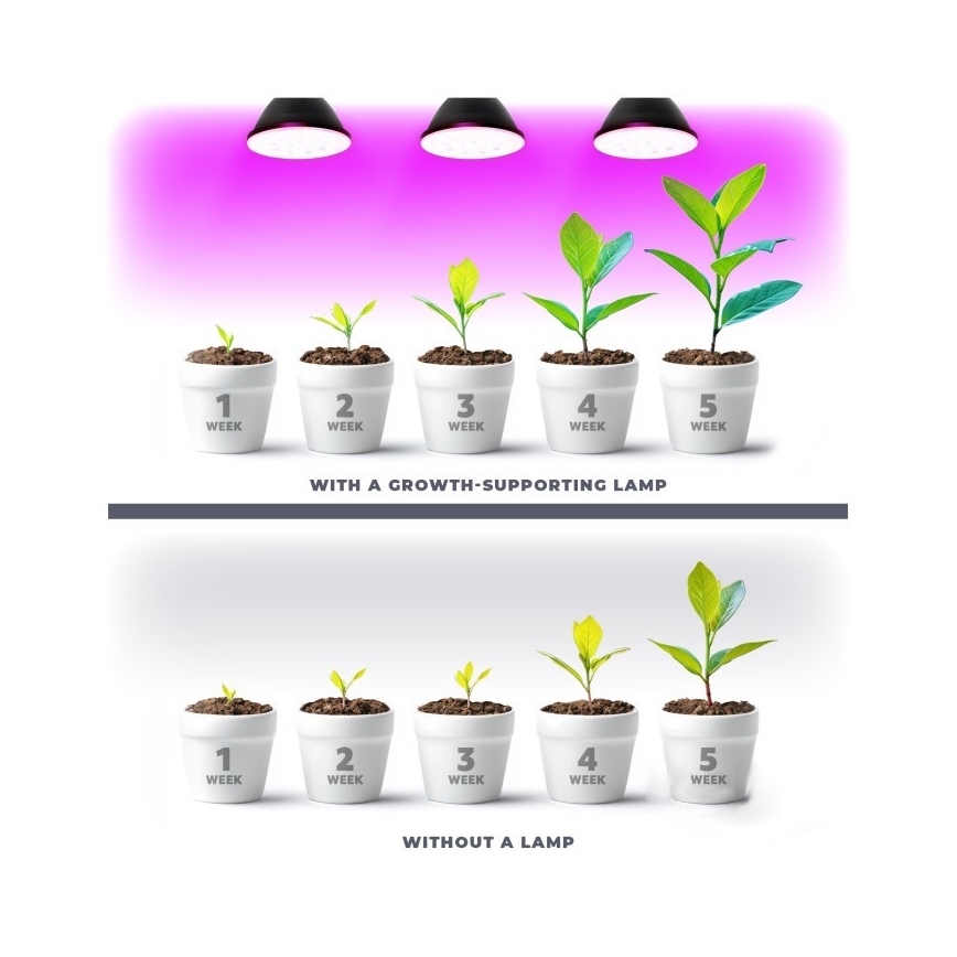 LED Žarulja za rast biljaka PLANTY E27/7W/230V 1200K crna