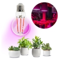LED Žarulja za rast biljaka PLANTY E27/8W/230V 1200K