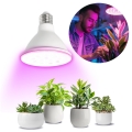 LED Žarulja za rast biljaka PLANTY E27/9W/230V 1200K bijela