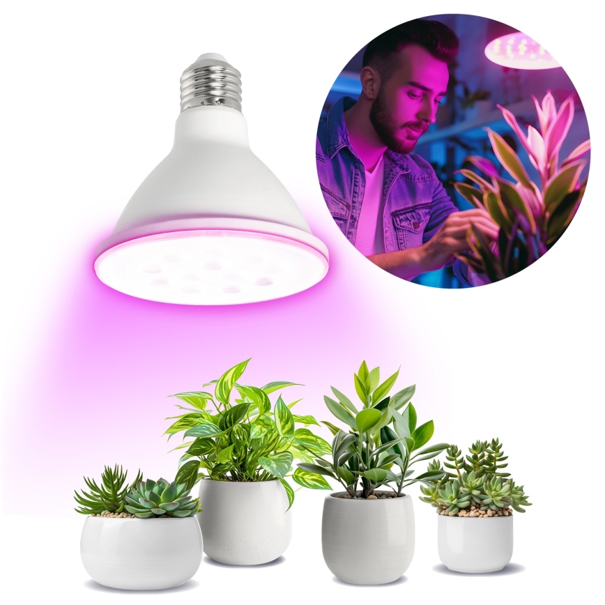 LED Žarulja za rast biljaka PLANTY E27/9W/230V 1200K bijela