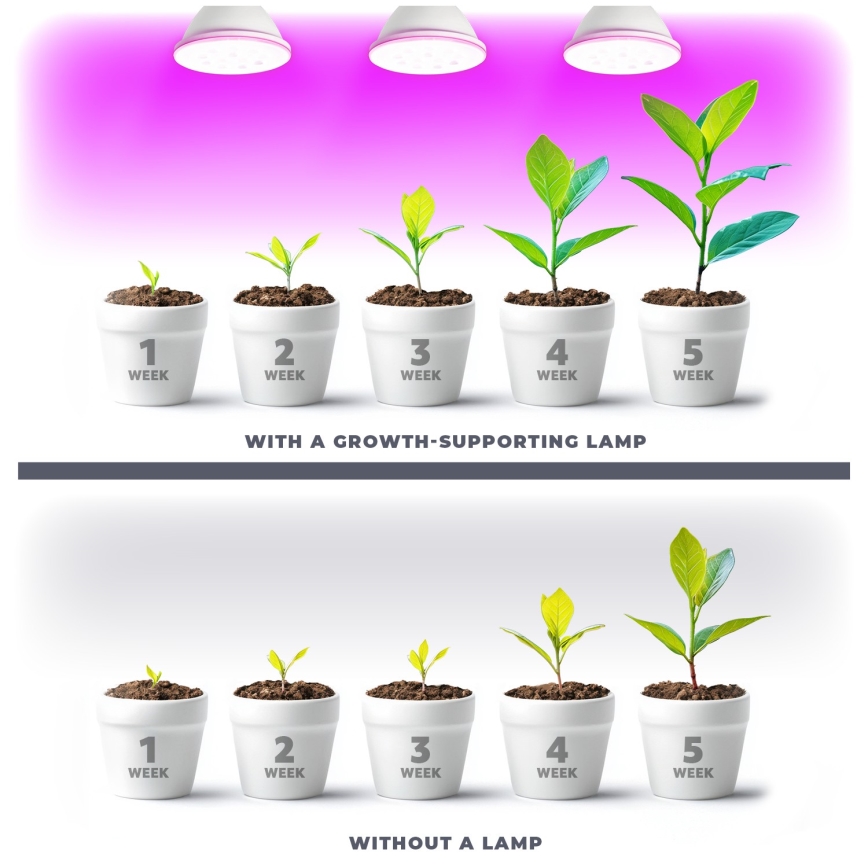 LED Žarulja za rast biljaka PLANTY E27/9W/230V 1200K bijela