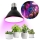 LED Žarulja za rast biljaka PLANTY E27/9W/230V 1200K crna