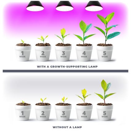 LED Žarulja za rast biljaka PLANTY E27/9W/230V 1200K crna