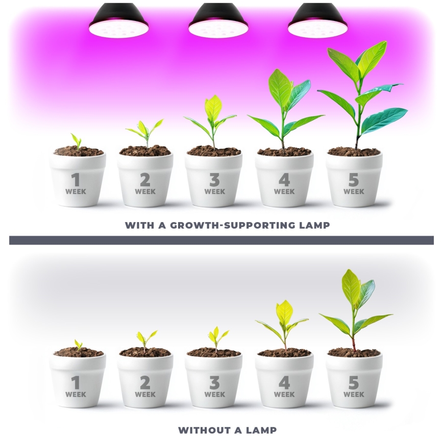 LED Žarulja za rast biljaka PLANTY E27/9W/230V 1200K crna
