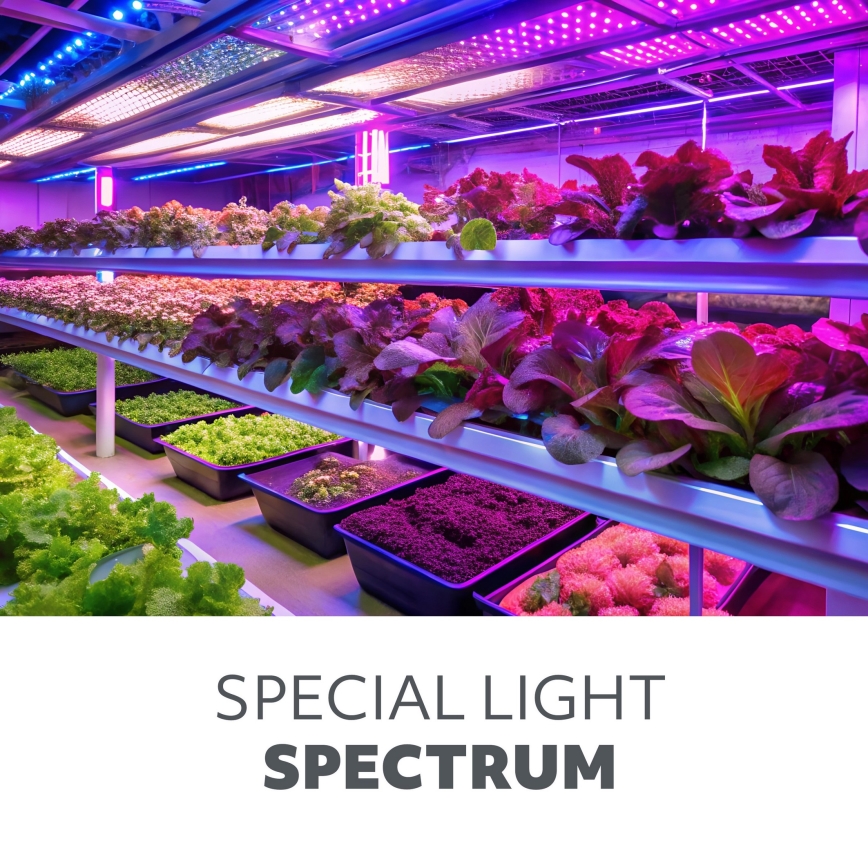 LED Žarulja za rast biljaka PLANTY E27/9W/230V 1200K crna