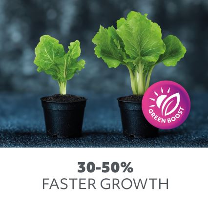 LED Žarulja za rast biljaka PLANTY E27/9W/230V 1200K crna