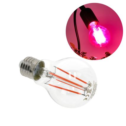 LED Žarulja za rast biljaka VITABLOOM E27/8W/230V 1200K - Brilagi