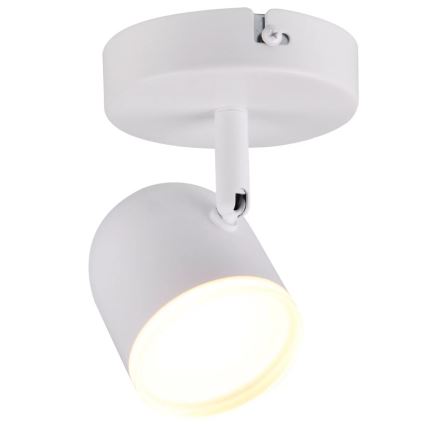 LED Zidna reflektorska svjetiljka RAWI LED/4,2W/230V bijela