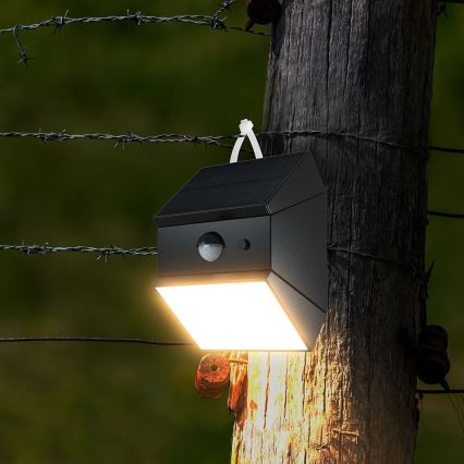 LED zidna solarna svjetiljka sa senzorom LED/2,5W/3,7V 3000/4000/6000K IP65 1200 mAh crna