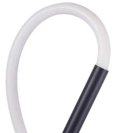 LED Zidna svjetiljka EMMA LED/19W/230V crna