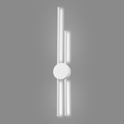 LED Zidna svjetiljka LANA LED/15W/230V 4000K bijela