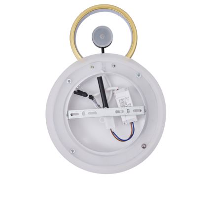LED Zidna svjetiljka LED/15W/230V 3000K