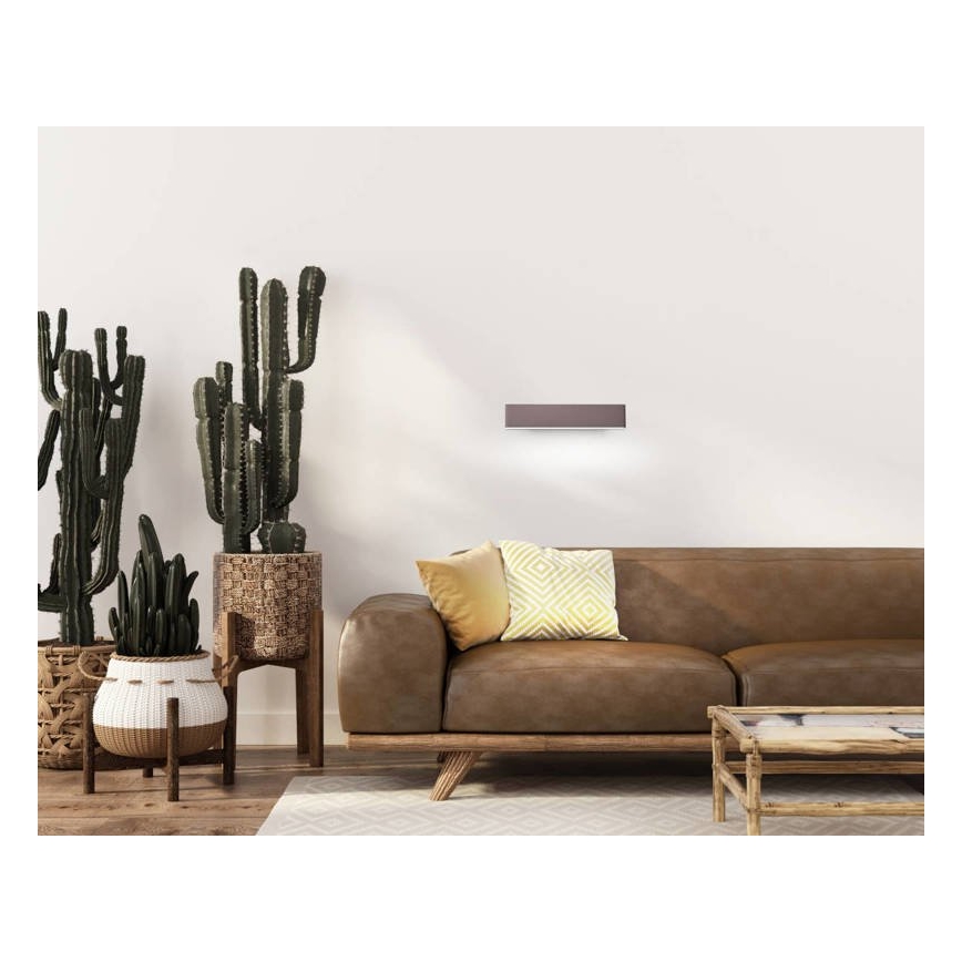 LED Zidna svjetiljka NICOLETTA LED/6W/230V