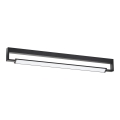LED Zidna svjetiljka za kupaonicu DEKSTER LED/36W/230V IP44 crna
