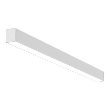 LED2 - LED Dimmabilno stropno svjetlo NOLI LED/40W/230V 3000K/3500K/4000K bijela