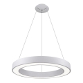 LED2 - LED Luster na sajli SATURN LED/50W/230V 3000/4000K bijela