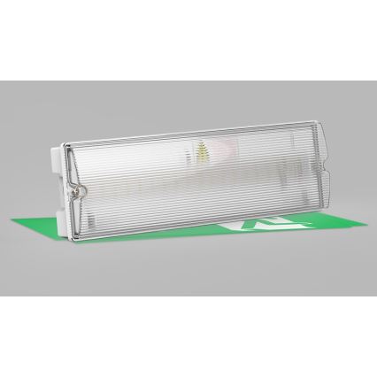 LED2 - LED Panik svjetiljka SAFE ON LED/3W/3,6V 6000K IP65