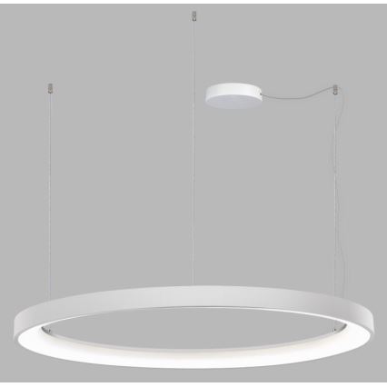 LED2 - LED Prigušivi luster na sajli BELLA LED/80W/230V 3000K/4000K bijela