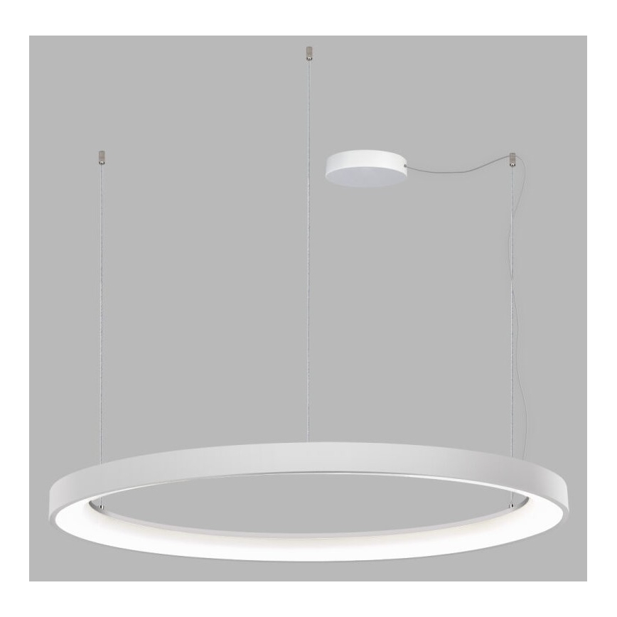 LED2 - LED Prigušivi luster na sajli BELLA LED/80W/230V 3000K/4000K bijela