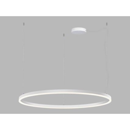 LED2 - LED Prigušivi luster na sajli CIRCLE LED/80W/230V 3000K/4000K pr. 100 cm bijela