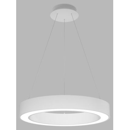 LED2 - LED Prigušivi luster na sajli SATURN LED/50W/230V 3000K/4000K bijela