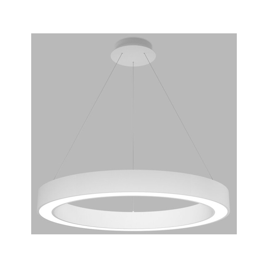 LED2 - LED Prigušivi luster na sajli SATURN LED/60W/230V 3000K/4000K bijela