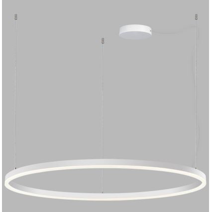 LED2 - LED Prigušivi luster na sajli SATURN LED/80W/230V pr. 100 cm bijela