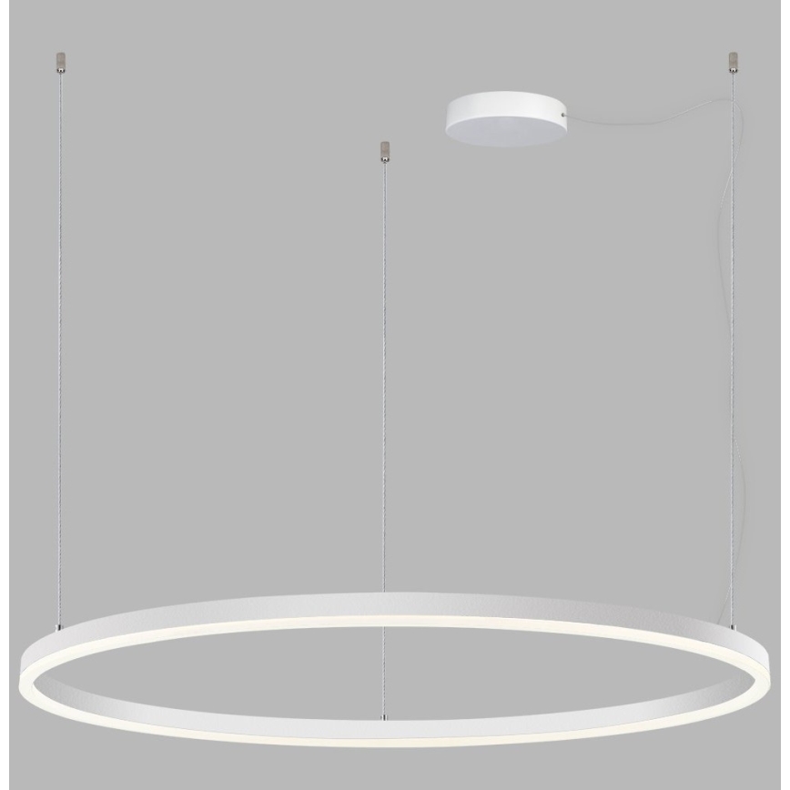 LED2 - LED Prigušivi luster na sajli SATURN LED/80W/230V pr. 100 cm bijela