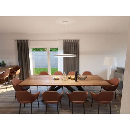LED2 - LED prstenasti luster s mogućnošću prigušivanja na užetu CIRCLE LED/80W/230V 3000K/4000K promjer 100 cm bijela