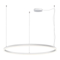 LED2 - LED prstenasti luster s mogućnošću prigušivanja na užetu CIRCLE LED/80W/230V 3000K/4000K promjer 100 cm bijela