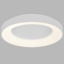LED2 - LED Stropna svjetiljka BELLA LED/40W/230V 3000/4000K bijela