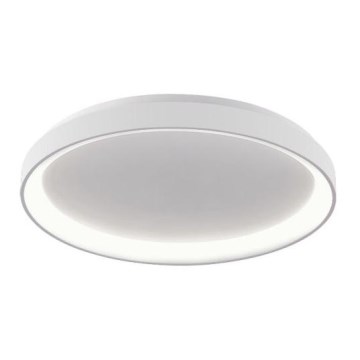 LED2 - LED Stropna svjetiljka BELLA LED/48W/230V 3000K/4000K bijela