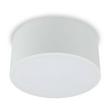 LED2 - LED Stropna svjetiljka BUTTON LED/17W/230V bijela