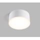 LED2 - LED Stropna svjetiljka BUTTON LED/17W/230V bijela