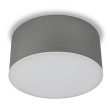 LED2 - LED Stropna svjetiljka BUTTON LED/17W/230V srebrna