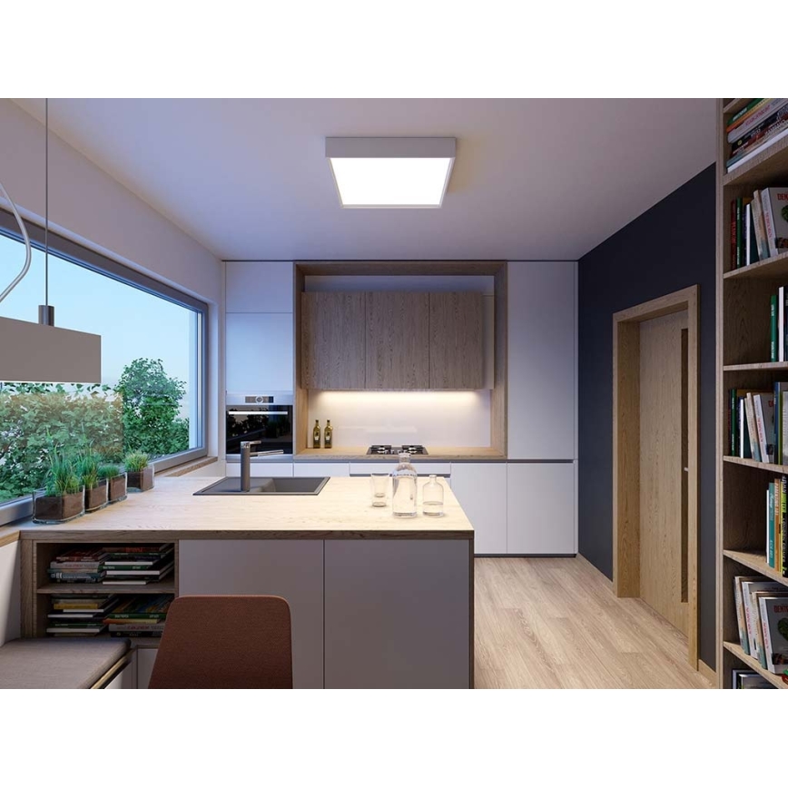 LED2 - LED Stropna svjetiljka MILO LED/30W/230V bijela 3000/4000K