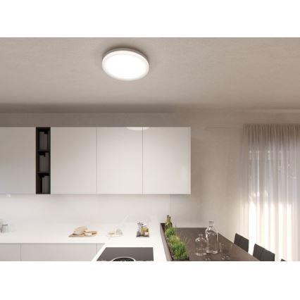 LED2 - LED Stropna svjetiljka ROUND II LED/30W/230V IP54 3000/4000/5700K
