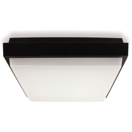 LED2 - LED Vanjska stropna svjetiljka QUADO LED/10W/230V antracit IP54