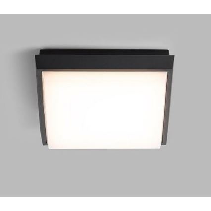 LED2 - LED Vanjska stropna svjetiljka QUADO LED/10W/230V antracit IP54