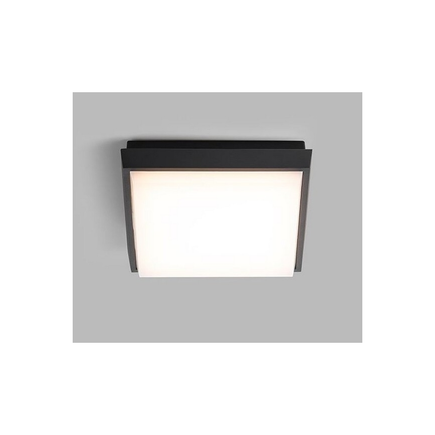 LED2 - LED Vanjska stropna svjetiljka QUADO LED/10W/230V antracit IP54