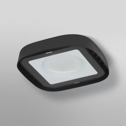 Ledvance - LED Industrijska stropna svjetiljka HIGHBAY LED/80W/230V IP65 6500K