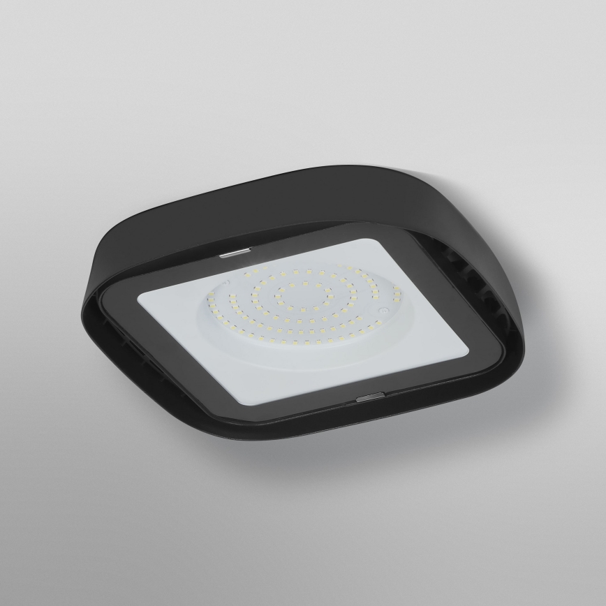 Ledvance - LED Industrijska stropna svjetiljka HIGHBAY LED/80W/230V IP65 6500K