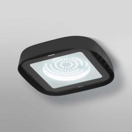 Ledvance - LED Industrijska stropna svjetiljka HIGHBAY LED/80W/230V IP65 6500K